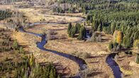 Der Bach – Herbst im Nationalpark Bayerischer Wald.