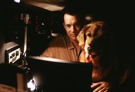 e-m@il für Dich – Neuerdings verbringt Joe (Tom Hanks) täglich viele Stunden vor seinem Computer, denn er will kein Mail von dem anonymen "Shopgirl" verpassen - bis er erkennt, wer hinter dem reizenden "Shopgirl" steckt ...