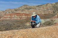 Heißzeit – Forscher Philip Gingerich sucht den Boden nach Fossilien ab.