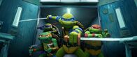 Teenage Mutant Ninja Turtles: Mutant Mayhem – L-r: Donatello, Michelangelo, Leonardo und Raphael