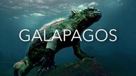 Galapagos – Do, 24.11., 22:00 Uhr