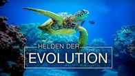 Helden der Evolution – Mo, 29.09., 16:55 Uhr