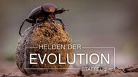 Helden der Evolution – Di, 07.10., 14:45 Uhr