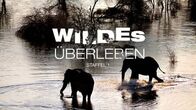 Wildes Überleben – Fr, 30.12., 08:30 Uhr
