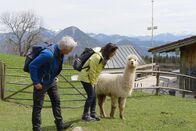 Gipfeltreffen (BR) – Werner Schmidbauer und Sabine Sauer auf dem Weg zum Rehleitenkopf (1338 m).