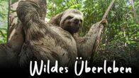 Wildes Überleben – Fr, 12.08., 16:05 Uhr
