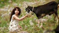 Heidi – Heidi (Anuk Steffen) hat keine Eltern mehr und wird bei ihrem Großvater in den Schweizer Bergen untergebracht.