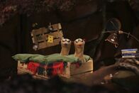 Unser Sandmännchen – Die Erdmännchen Jan und Henry sitzen verdutzt in ihrem Bett