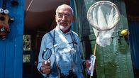 Löwenzahn Classics – Peter (Peter Lustig) beobachtet auf einer Wildwiese die wundersame Verwandlung einer Raupe in einen Schmetterling.