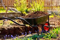 Schnittgut. Alles aus dem Garten – Experten geben Tipps für die Gartenpraxis und die Gestaltung von Gärten, Terrassen und Balkonen. Einen Schwerpunkt bilden Berichte über Pflanzen und Filme über die schönsten Gärten der Welt.