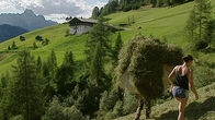 Bilder einer Landschaft – Bilder einer Landschaft (2005)