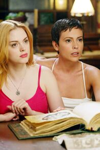 Charmed - Zauberhafte Hexen – Leo, Paige (Rose McGowan, l.) und Phoebe (Alyssa Milano, r.) müssen feststellen, dass ihnen drei Krieger aus Walhalla nach San Francisco gefolgt sind, die jetzt außer Kontrolle geraten und wahllos zu morden beginnen ...