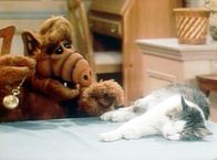 Alf – Alf (1986)