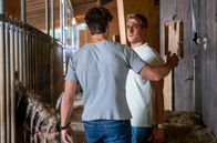 Sturm der Liebe – Vincent (Martin Walde, r.) ist zutiefst berührt, als Noah (Christopher Jan Busse, l.) ihn brüderlich umarmt.