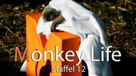 Monkey Life – Fr, 21.10., 06:55 Uhr