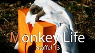 Monkey Life – Fr, 04.11., 06:55 Uhr