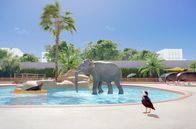 Athleticus – Dem Elefanten gelingt es mit Hilfe eines Zaubertricks, übers Wasser zu gehen sehr zur Verwunderung der anderen Tiere am Pool.
