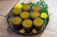 Zu Tisch ... – Aus den gelben Blütenblättern des Löwenzahns hat Tanja einen süßen Aufstrich zubereitet - fürs Butterbrot oder als Zutat für Süßspeisen.