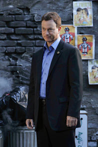 CSI: NY – CSI: NY (2010)
