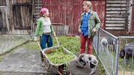 Löwenzahn – Fritz Fuchs (Guido Hammesfahr) versucht sein Glück bei der Bäuerin (Anna Böttcher), ist ihr vielleicht ein Schweinchen weggelaufen?