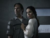 Colony – Colony (2016)
