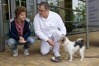 In aller Freundschaft – Hans-Peter Brenner (Michael Trischan, rechts) kümmert sich um den Hund eines Patienten, als Kris Haas (Jascha Rust) zum Dienstbeginn erscheint. Ohne zu wissen, dass auch der Hund "Brenner" heißt, meint Kris, dass die beiden irgendwie zueinander passen.