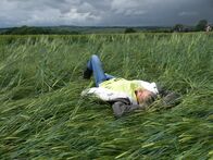 Mystery 360 – Wiltsire, England, UK - Monique Klinkenbergh, crop circle researcher and investiagtor takes a much needed break and rests in a new crop formation.