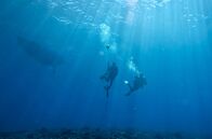 Hüter der Südseeinseln – Der Meeresbiologe Tomasi Tikoibua Delana mit einem Freund: Sie arbeiten für die Pacific Blue Foundation, die sich für den Schutz der Küsten- und Meeresökosysteme einsetzt.