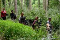 WaPo Bodensee – V.l.n.r.: Nele Fehrenbach (Floriane Daniel), Timo Gruber (Thimo Meitner mit Komparsin), Frauke Singer (Anjorka Strechel) und Dr. Johannes Ringwald (Ingo Abel) auf dem Weg zu dem geheimen Ort im Wald, an dem die ominösen Therapiestunden stattfinden.