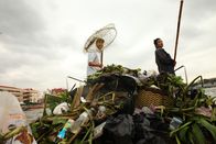 Zeb Hogans Monsterfische – Zeb Hogan leert sein Netz über einem Haufen Müll, der im Chao Phraya River gesammelt wurde. Der Chao Phraya ist einer der drei Flüsse, in denen der Riesenkarpfen vorkommen soll. (Bildnachweis: Singha Quansuwan)
