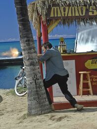 Hawaii Five-0 – Versucht alles, um seine Schwester Mary, die entführt wurde, zu retten: Steve (Alex O'Loughlin) ...