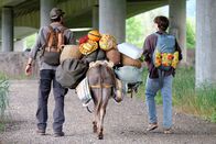 12 Tage Sommer – Von links: Marcel (Mehdi Nebbou), Esel Maria (Lore) und Felix (Yoran Leicher).