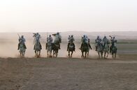 Magischer Maghreb – Der Fantasia-Formationsritt ist eine jahrhundertealte Tradition.