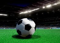 Fußball: Europameisterschaft – soccer ball in stadium at night