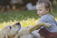 Ich, Bauer – Hund und Kind