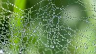 Wiener Wasser – Natur und Umgebung des Hochschwab nach Regen.