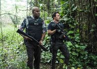 Hawaii Five-0 – Hawaii Five-0 (2019)