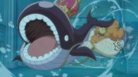 One Piece – Sa, 28.03., 05:20 Uhr