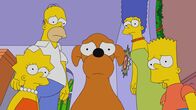Die Simpsons – THE SIMPSONS: After the SimpsonsÕ dog bites Marge, the family explores the tragic past of SantaÕs Little Helper in the ÒThe Way of The DogÓ season finale episode of THE SIMPSONS airing Sunday, May 17 (8:00-8:30 PM ET/PT) on FOX. THE SIMPSONS