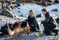 Hudson & Rex – L-R: Rex (Diesel vom Burgimwald), Sarah Truong (Mayko Nguyen) und Charlie Hudson (John Reardon)
