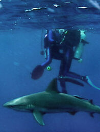 Open Water – Open Water (2003)
