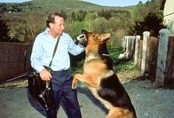 Kommissar Rex – Rex kann es nicht lassen, den Briefträger (Joel Silverman) stürmisch zu begrüßen.