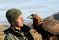 The Natural World – Lloyd Buck mit seinem Steinadler Tilly.