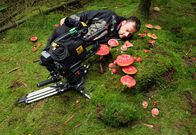 Mythos Wald – Naturfilmer Jan Haft richtet die Kamera aus, um die Fliegenpilze perfekt in Szene zu setzen.