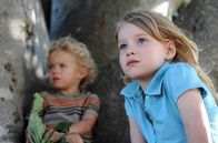 Der Baum – Simone (Morgana Davies, re.) und ihr Bruder Charlie (Gabriel Gotting) haben beste Aussicht.