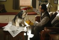 Monk – Shelby wird schon bald zum saubersten Hund der ganzen Stadt, nachdem Monk (Tony Shalhoub) ihn bei sich aufgenommen hat ...