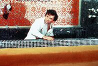 Columbo – Columbo (1974)