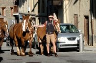 Die Pyrenäen – Jordi Sanchez startet im Frühsommer den großen Almauftrieb mit seinen Pferden.