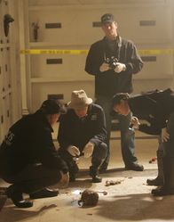 Navy CIS – Nach einer Explosion auf dem Militärfriedhof findet man in der zerstörten Gruft Überreste mehrerer Leichen, die dort ursprünglich nicht begraben wurden. Ducky (David McCallum, 2.v.l.), Tony (Michael Weatherly, 2.v.r.), Ziva (Cote de Pablo, r.) und Gibbs (Mark Harmon, l.) ermitteln in diesem Fall ...