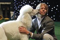 Navy CIS: L.A. – Bei den Ermittlungen in einem neuen Fall muss Deeks (Eric Christian Olsen) bei einer Hundeshow teilnehmen ...